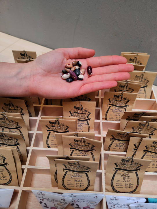 Seed exchange box A box with many small labeled seed bags